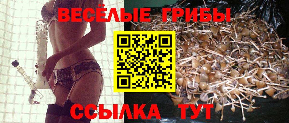 Галлюциногенные грибы ЛСД  Вход с VPN  Кострома  Галлюциногенные грибы MAGIC MUSHROOMS 